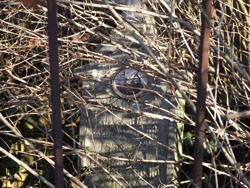 Friedhof von Rudolfsgnad
